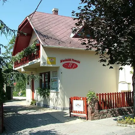 Muskatli Vendeghaz Hévíz