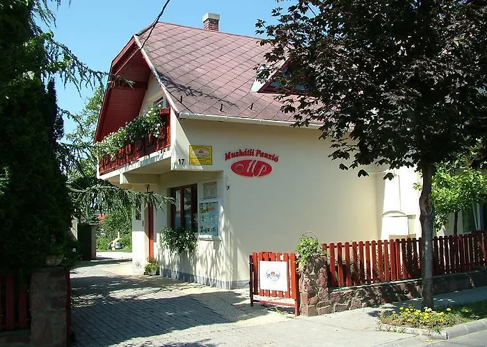 Muskatli Vendeghaz Hévíz